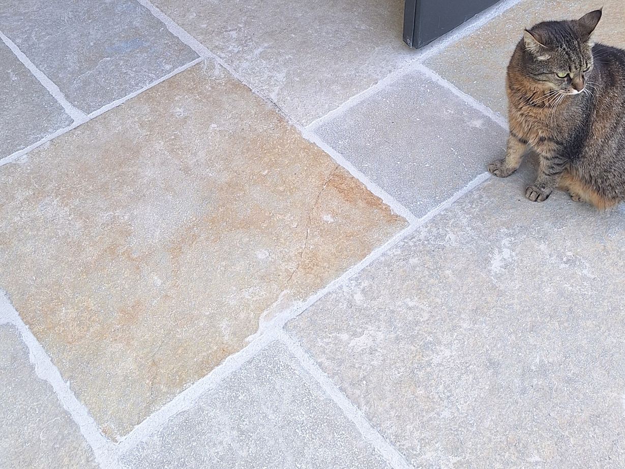 calcaire_sable_de_Java_chat_galerie 1