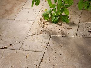 Travertin Rustic sur la terrasse et branches