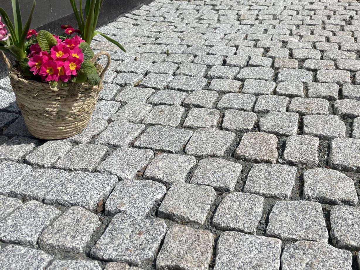 pierre_de_pavage_granit Silver_Rustice_entrée_proche_des_fleurs