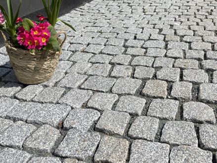 pierre_de_pavage_granit Silver_Rustice_entrée_proche_des_fleurs
