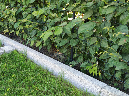 Bordure de pelouse Silver Granit Classico avec gazon