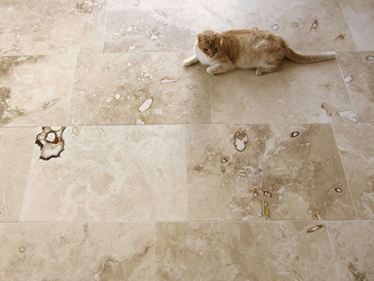 Photo du client : Carreaux de travertin Onyx avec un chat vu du ciel