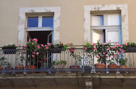 Balcon méditerranéen avec fleurs et mur de maison beige