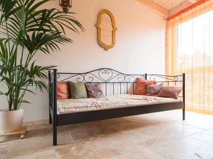 Une plante, une chambre et un sol en travertin Rustic