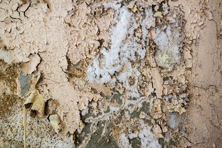 L’efflorescence chez une pierre naturelle